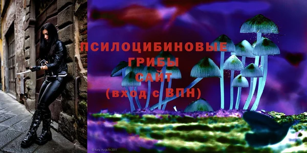 метадон Армянск